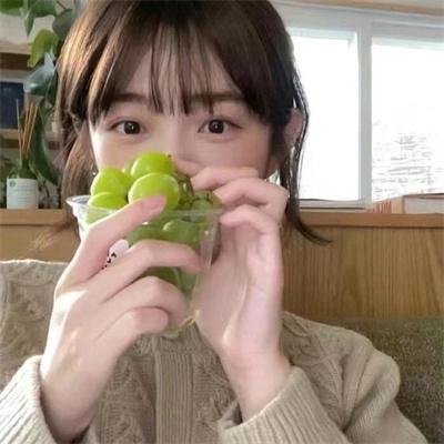 白狼